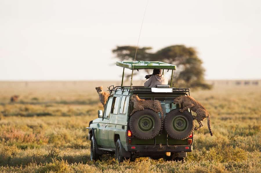 From Nairobi: Masai Mara 3-day Camping Safari by Jeep - Len chada Tourist Camp: what included meals mean in the bush