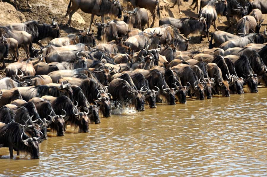 From Nairobi: Masai Mara 3-day Camping Safari by Jeep - When to consider the hot air balloon and Maasai village