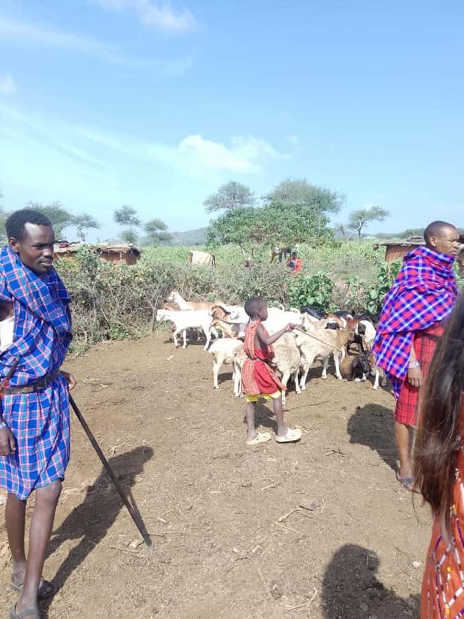 From Nairobi: Masai Tribe Village Visit - Communication and Guide Style: When A Good Day Starts With Clear Expectations