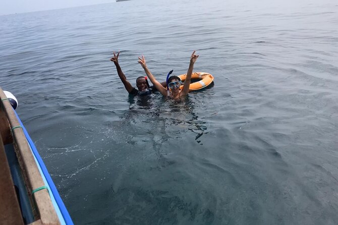 Full Day Dolphin Watching with Snorkeling in Wasini - Price and value: is $113 fair for what you get?