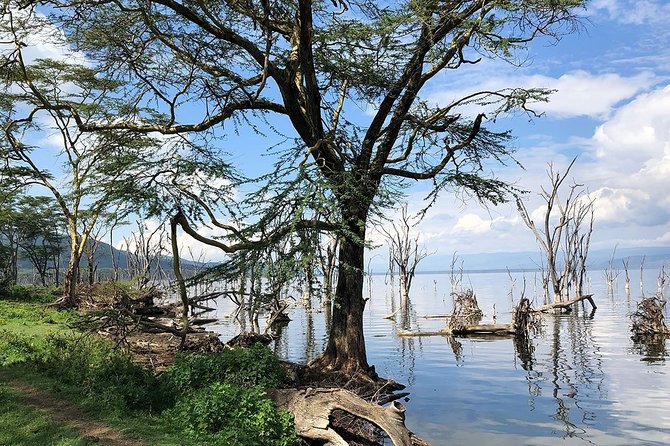 Full-Day Lake Nakuru National Park from Nairobi - Price and Value: Is $367 Worth It for a Private Day?