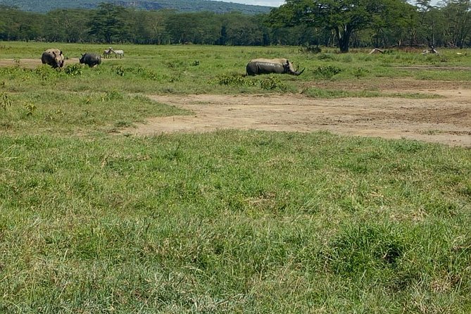 Full-Day Lake Nakuru National Park Private Tour from Nairobi - Key Things I’d Focus on Before You Go