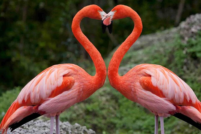 Full-Day Lake Nakuru National Park Private Tour from Nairobi - Great Rift Valley Viewpoint: A Short Stop With Big Payoff