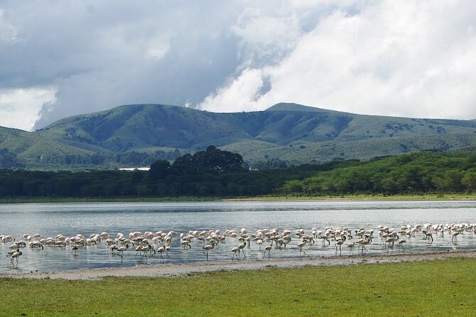 Full-Day Lake Nakuru National Park Private Tour from Nairobi - More Game Drive Time Before the 3:00pm Exit