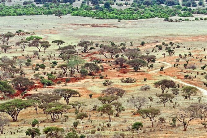 Full Day Private Tour of Tsavo East National Park from Mombasa - Guides and spotting style: what stood out