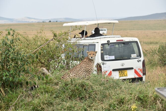 Full Day Private Tour of Tsavo East National Park from Mombasa - Price and value: what $315 covers