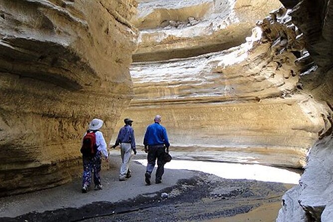 Full day private tour to Hells Gate National park from Nairobi. - A Bike-Allowed Safari Day From Nairobi