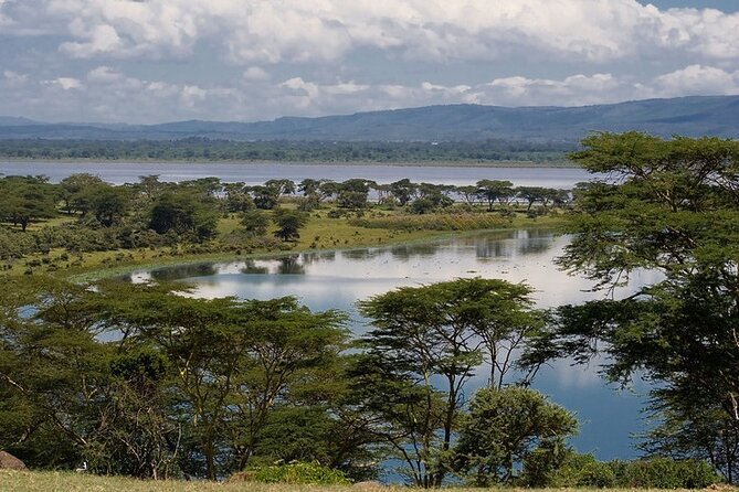 Full day private tour to Hells Gate National park from Nairobi. - Lake Naivasha at Crescent Camp: Hippos, Fish Eagles, and a Breeze