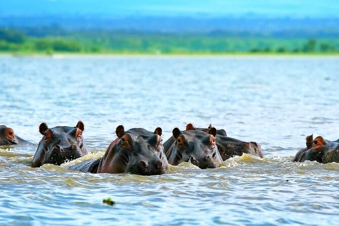 Full day private tour to Hells Gate National park from Nairobi. - The Day’s Flow and Timing: How to Keep It Comfortable