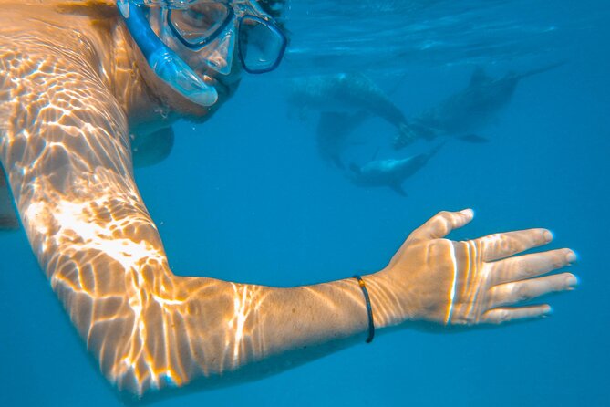 Full-Day Special Wasini Island Tour with Snorkeling and Lunch - Key highlights