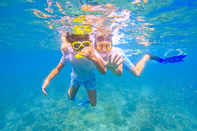 Full-Day Special Wasini Island Tour with Snorkeling and Lunch - Wasini Island Lunch: Seafood, Chicken, Drinks, and a Real Break