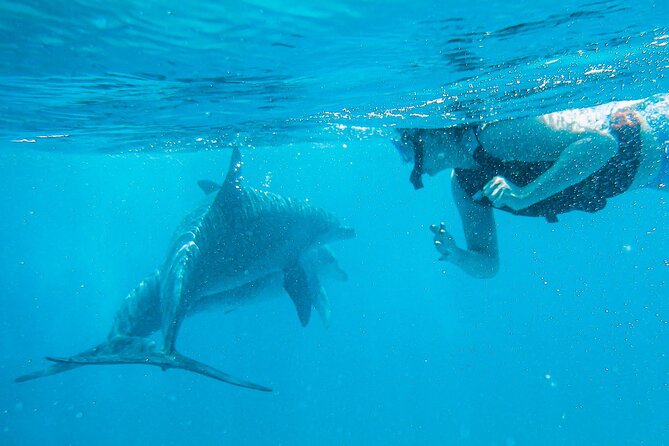 Full-Day Special Wasini Island Tour with Snorkeling and Lunch - The Waterproof Camera and Free Video Footage