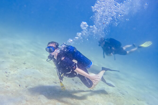 Full-Day Special Wasini Island Tour with Snorkeling and Lunch - Tips for Seasickness, First-Time Snorkeling, and a Smooth Day