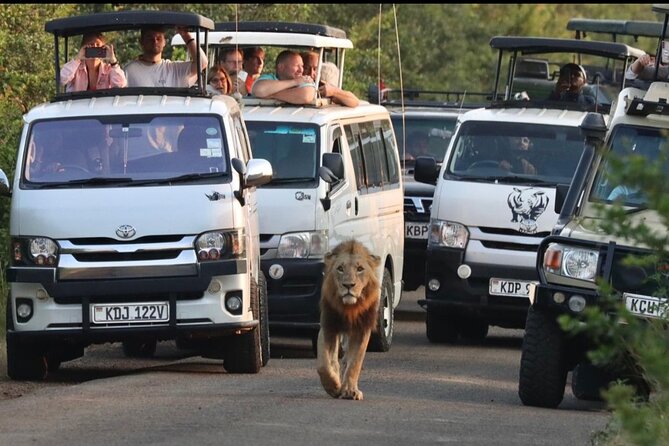 Full Day Tour in Amboseli National Park from Nairobi - The Big Five theme, and how to set expectations that won’t ruin your day