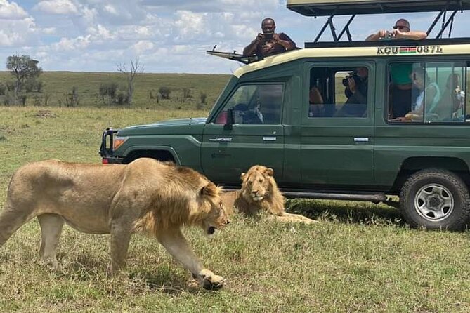 Full Day tour to Lake Nakuru National Park From Nairobi - Lake Naivasha by Boat: Hippos and Bird Watching from the Water