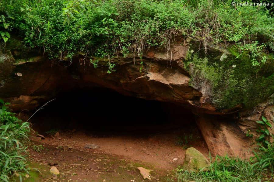 Full Paradise Lost Recreational Day - The 3-hour rhythm from Yaya Centre to Kiambu and back