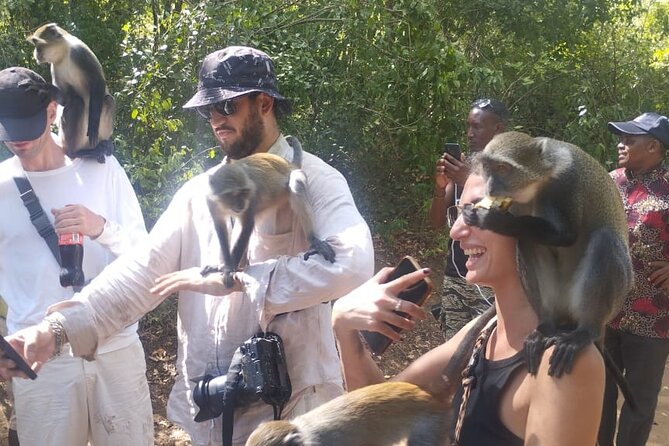 Gede Ruins & Malindi Tour - Guide style and pacing: why this tour works as a combo