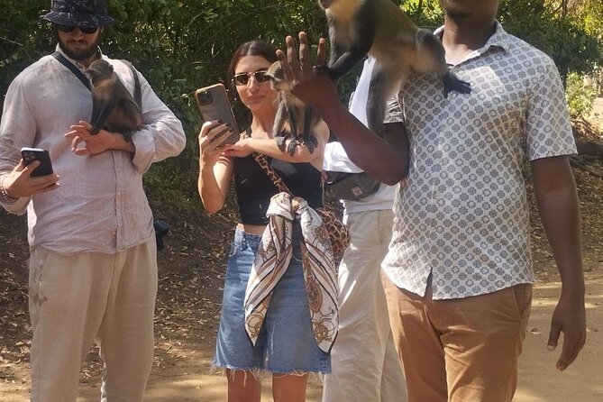 Gede Ruins & Malindi Tour - The Malindi stop: port history meets street reality
