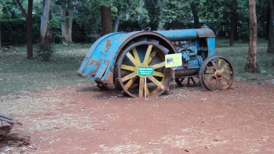 Giraffe Center and Karen Blixen Museum Tour from Nairobi - Key things I found most worth your time