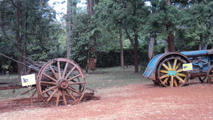 Giraffe Center and Karen Blixen Museum Tour from Nairobi - Value at $99 Per Person: What You Actually Get
