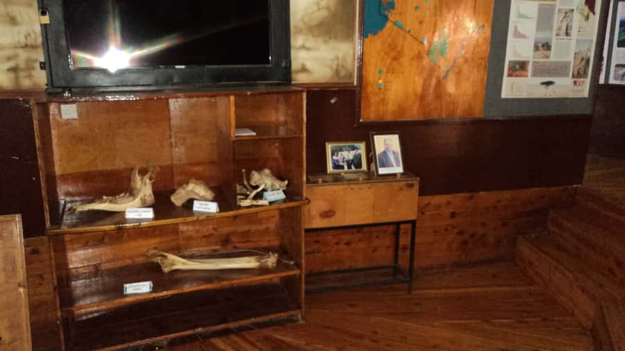 Giraffe Center and Karen Blixen Museum Tour from Nairobi - What I’d Bring and What I’d Do First When You Get There