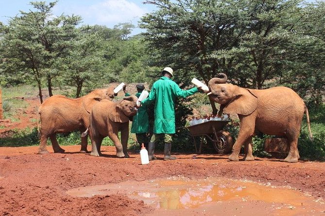 Giraffe center, Elephant Orphanage and Beads Center - Stop 3 at Kazuri Beads Factory: craft-making with a social mission