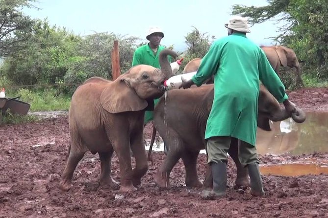 Giraffe center, Elephant Orphanage and Beads Center - Timing, pacing, and how long you can actually linger