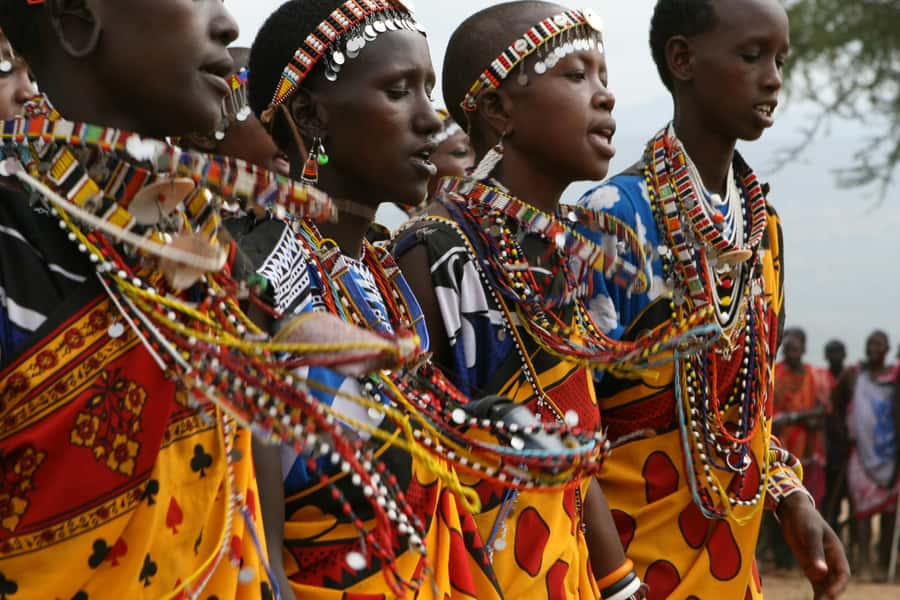 Giraffe Center, Elephant Orphanage and Bomas of Kenya Tour - Price and value: what you pay, what you might still owe