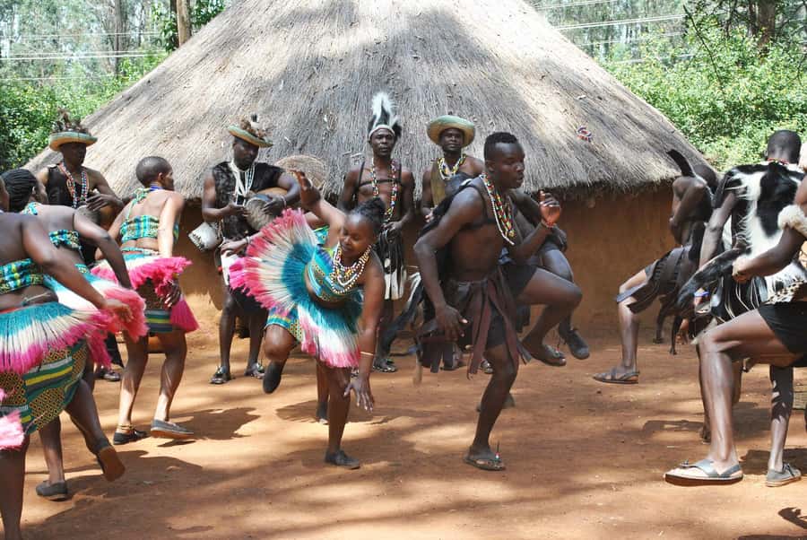 Giraffe Center, Elephant Orphanage and Bomas of Kenya Tour - Who should book this day trip