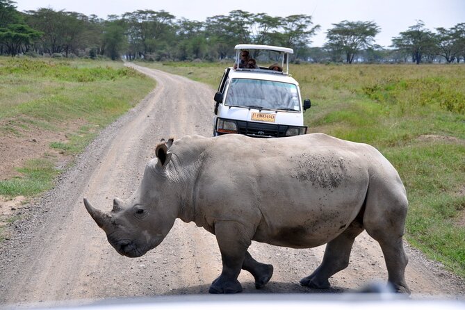 Giraffe Center, Elephant Orphanage and Nairobi National Park Day Tour Nairobi - Who This Tour Fits Best, and Who Might Prefer Something Else