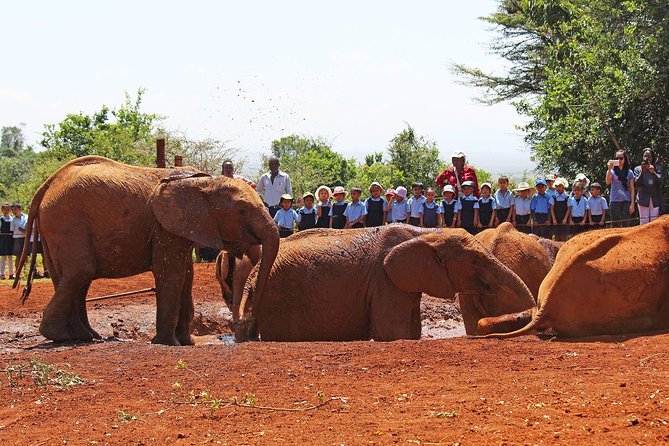 Giraffe Center & Elephant Orphanage Guided Day Tour From Nairobi - Kazuri Beads Factory Stop: Hand-Painted Jewelry Made by Women