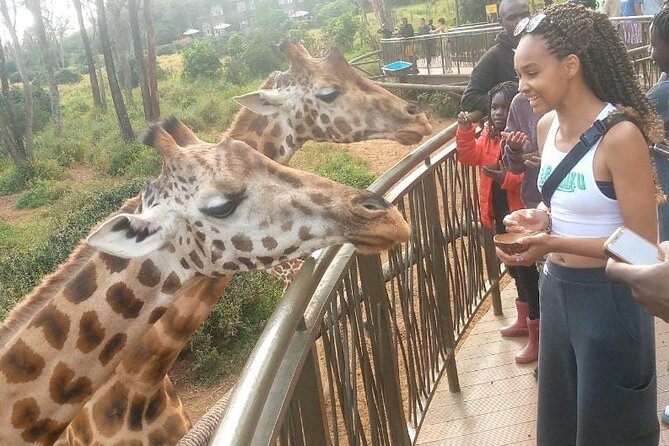 Giraffe Centre and Bomas of Kenya from Nairobi - Who this Nairobi combo tour suits best