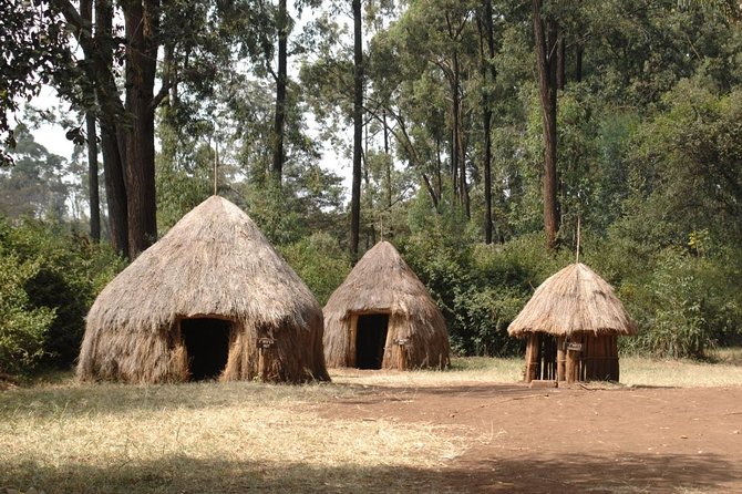 Giraffe Centre and Bomas of Kenya Full-Day Tour from Nairobi - Nairobi pickup and the reality of city driving