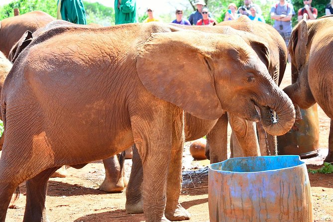 Giraffe Centre, Elephant Orphanage, and Bomas of Kenya Day Tour from Nairobi - KOBE TOUGH Beads & Leather: Watching Kazuri-Style Beads Take Shape