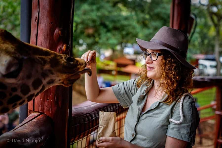 Giraffe, Elephant Orphanage - Key points worth knowing before you go