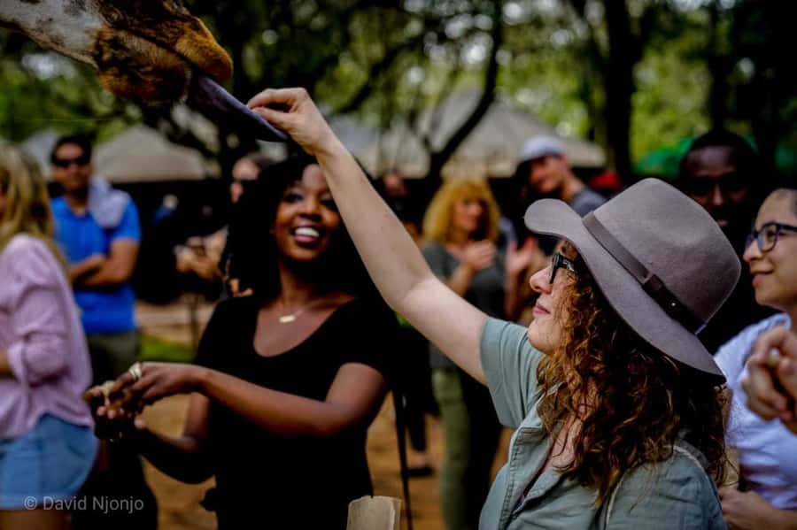 Giraffe, Elephant Orphanage - Giraffe Centre beside Giraffe Manor: Rothschild’s giraffes up close