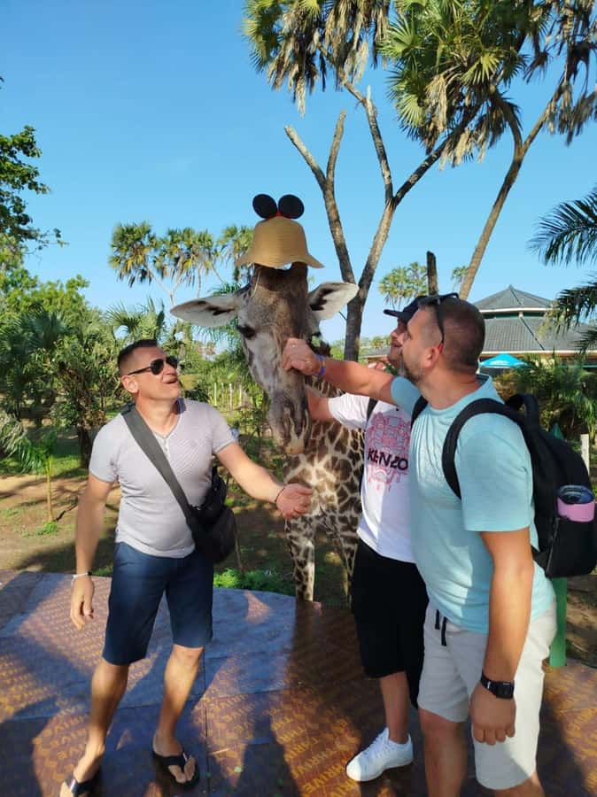 giraffe feeding - Pickup from Diani Beach at 10:00, then a quick drive to the park