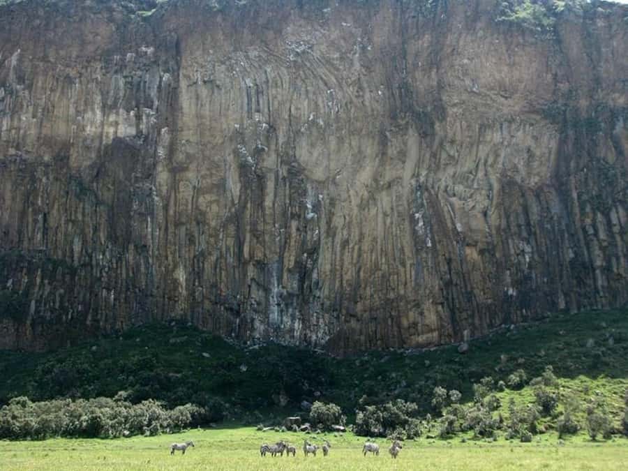Group joining day tour to Hell's Gate and Lake Naivasha - Crescent Island Game Sanctuary: Optional Giraffes Up Close