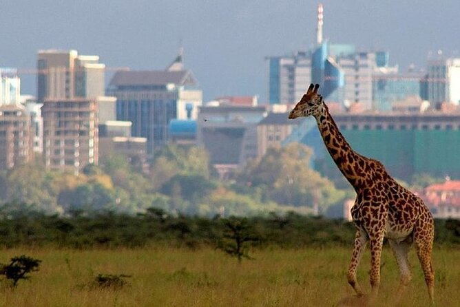Group Joining Nairobi National Park and Giraffe Center - 6:00am Pickup and Four Hours in Nairobi National Park