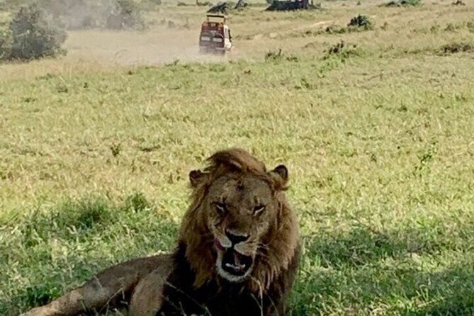 Group Joining Nairobi National Park and Giraffe Center - Price and Value: Why $60 Can Be a Smart Deal