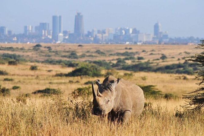 Group Joining Nairobi National Park and Giraffe Center - Timing, Comfort, and Small Planning Tips That Pay Off