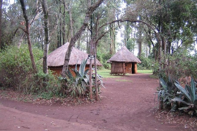 Half-Day Cultural Tour to Bomas of Kenya in Nairobi - What the $95 price really buys you in Nairobi terms
