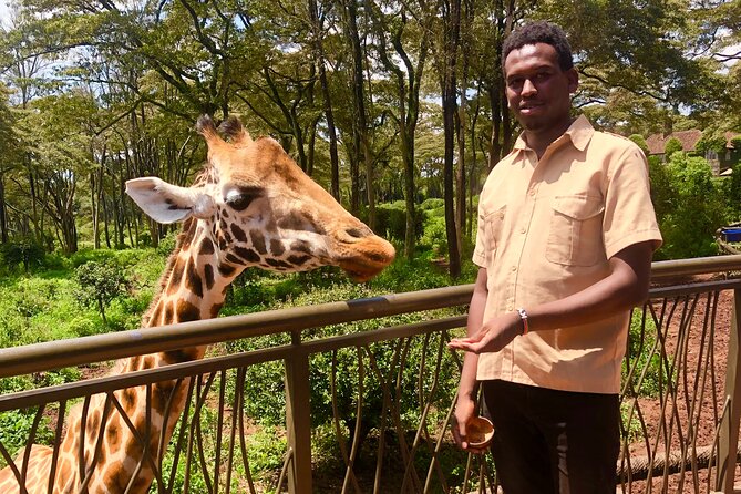 Half Day Excursion Tour in Nairobi - Guide Quality, Punctual Pickup, and Making the Most of Each Stop