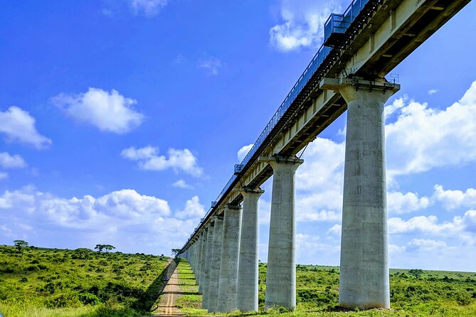 Half Day Nairobi National park - Door-to-door transfers, the quiet advantage you feel immediately