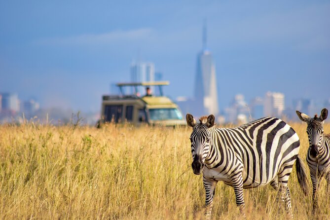 Half Day Nairobi National park - Price and value, what you are really paying for