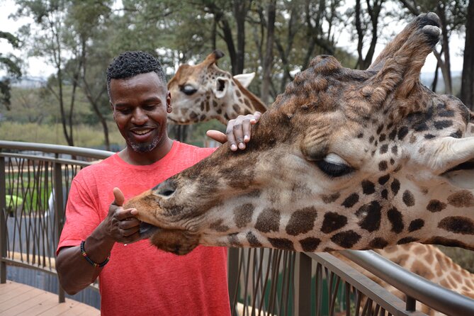 Half-Day Nairobi National Park and Maasai Market with Pick up - Price and Value: How the Math Really Works