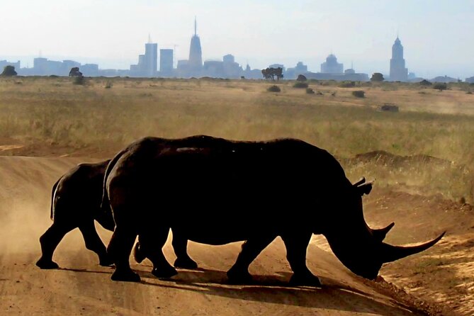 Half-Day Nairobi National Park Private Tour with admission - Why Nairobi National Park fits a tight schedule