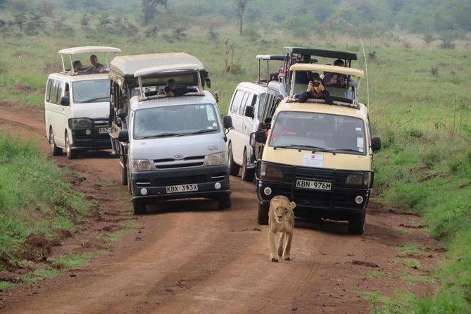 Half-Day Nairobi National Park Safari from Nairobi with Free Pickup - Wildlife Spotting in a Few Hours: How Guides Make the Difference