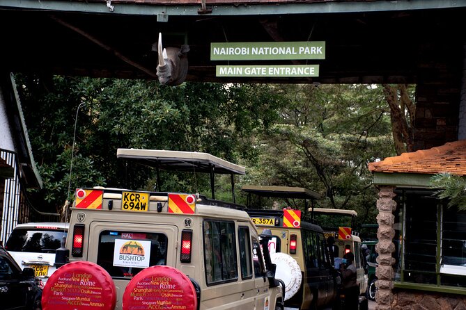 Half day Nairobi National Park Tour & Sheldrick Elephant Nursery - Bushtop Kenya Safaris: how to get the best outcome