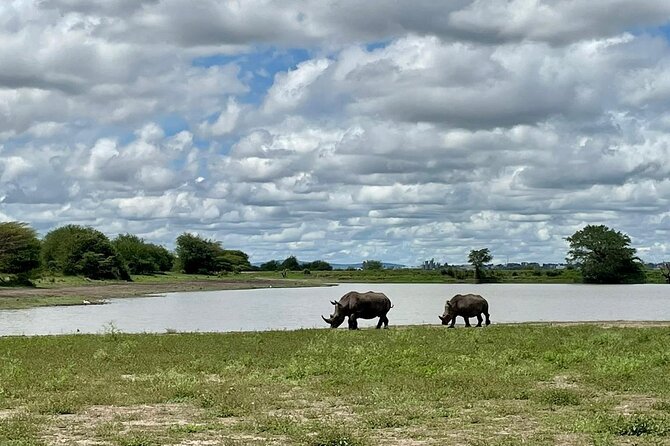 Half Day Private Tour in Nairobi National Park with Admission - Nairobi NP’s Water Dams: Hippos, Crocs, and Bird Action